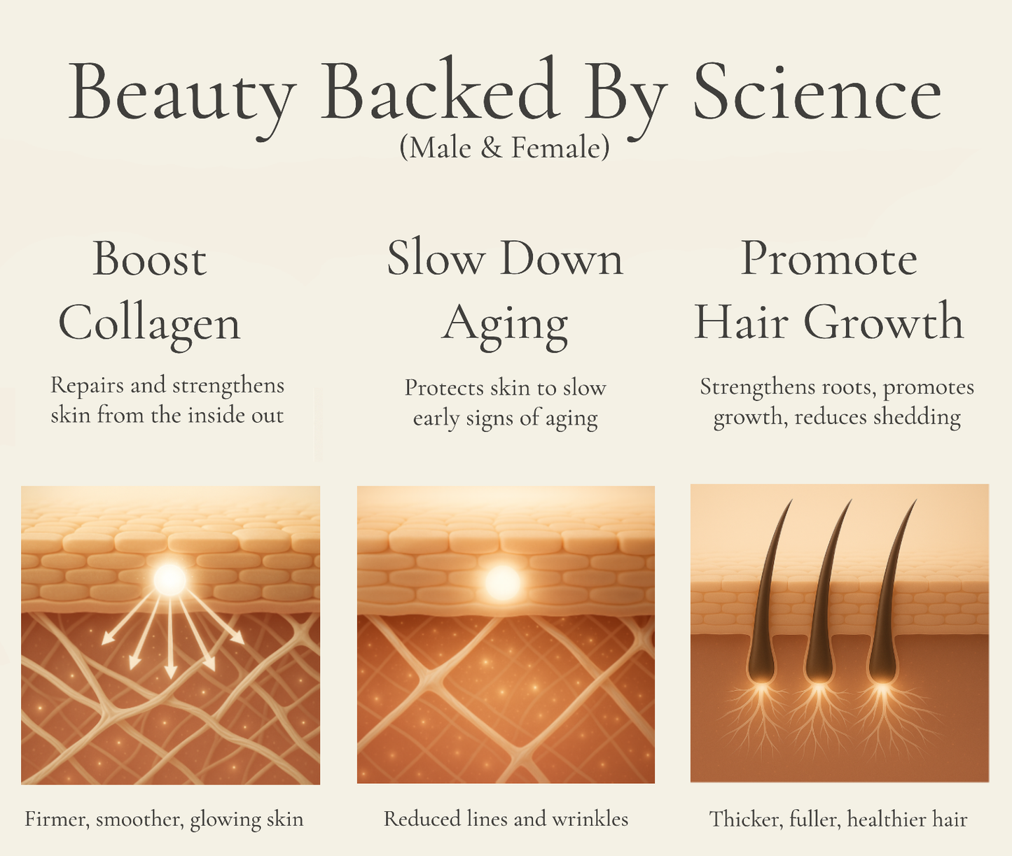 Beauty Chews | Green Tea Aloe | Health Gummies